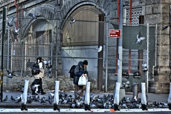 a man in a coat feeds a flock of pigeons